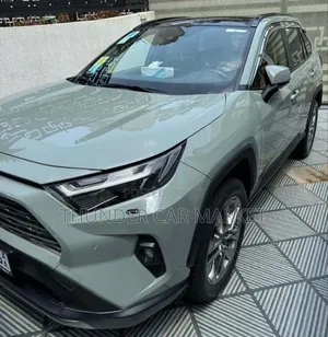 Toyota RAV4 2024 Gray