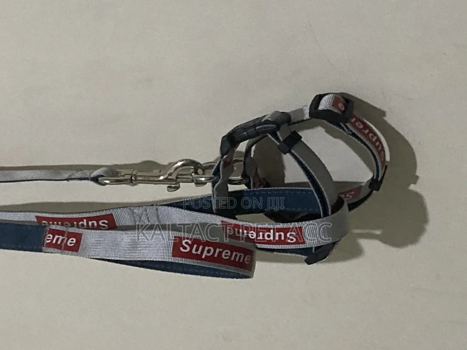 Full Leash and Collar Complete