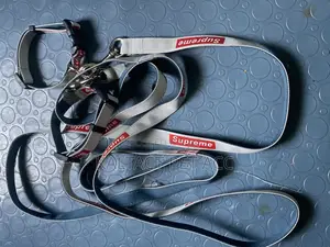 Full Leash and Collar Complete