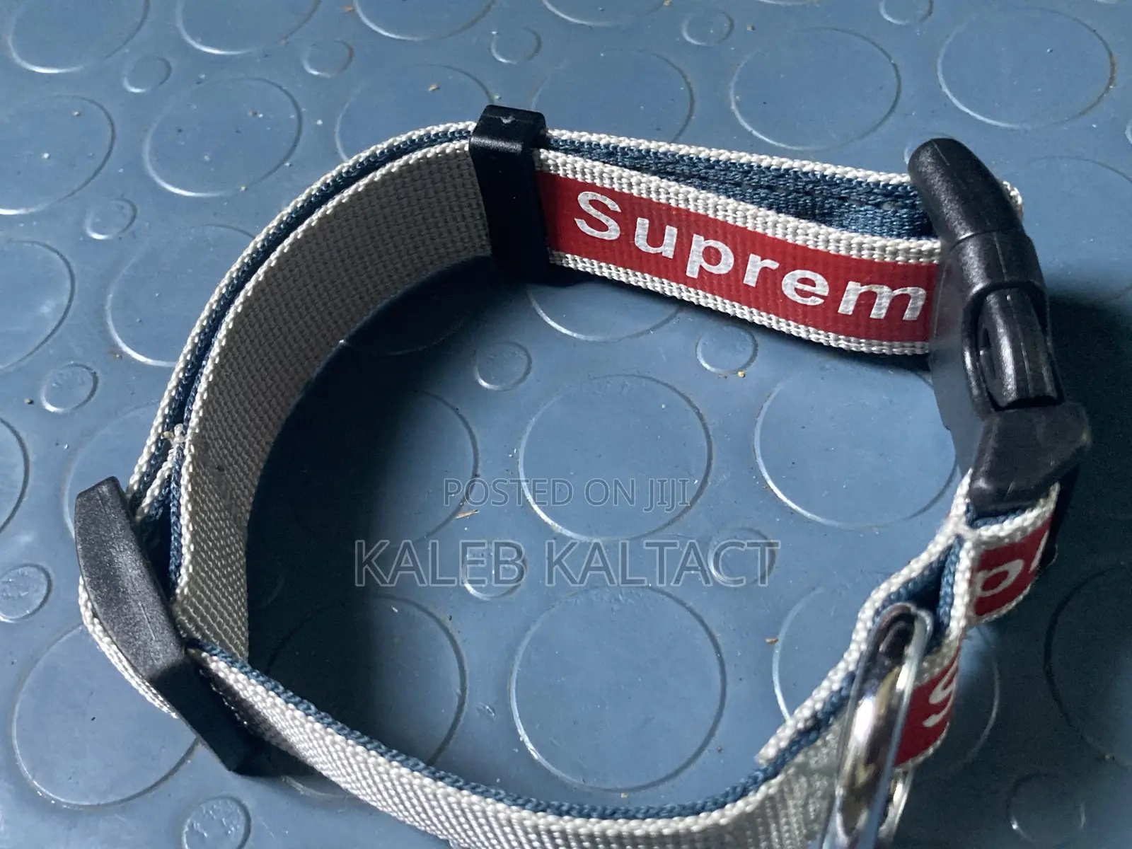 Full Leash and Collar Complete