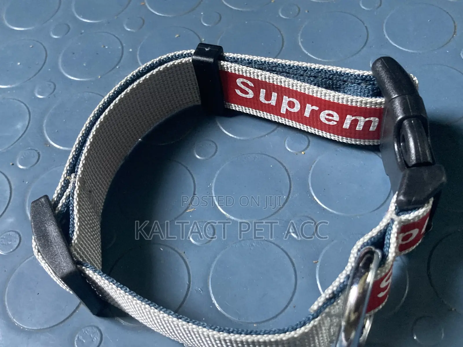 Full Leash and Collar Complete