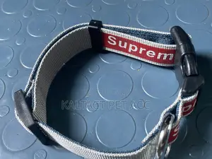 Full Leash and Collar Complete