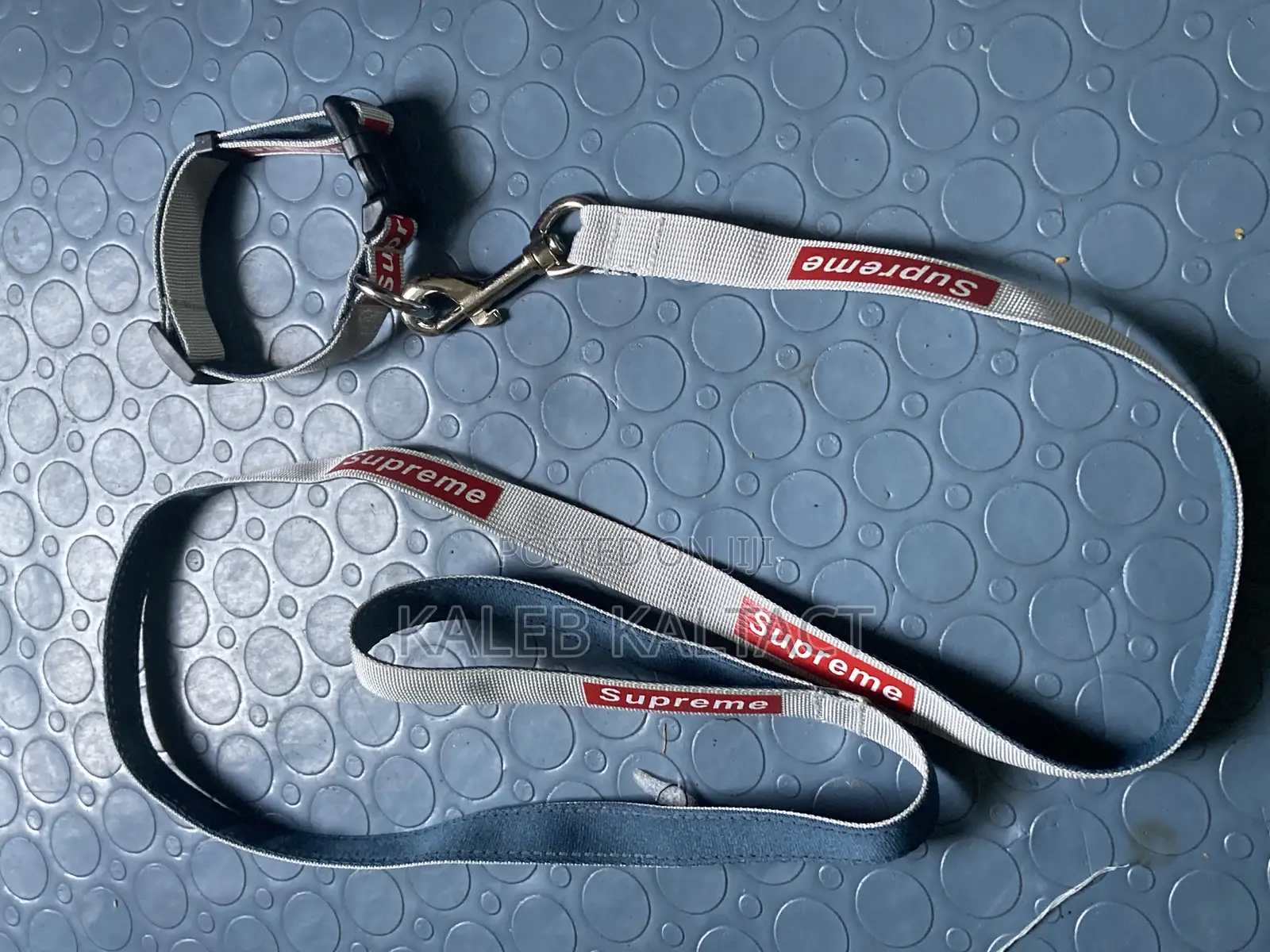 Full Leash and Collar Complete