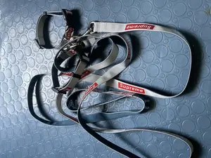 Full Leash and Collar Complete