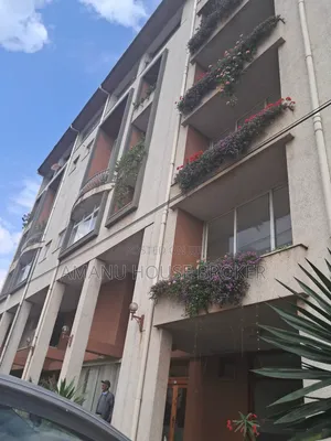 Urgent Rent Building for Office, Hospital, NGO Near Old Airp