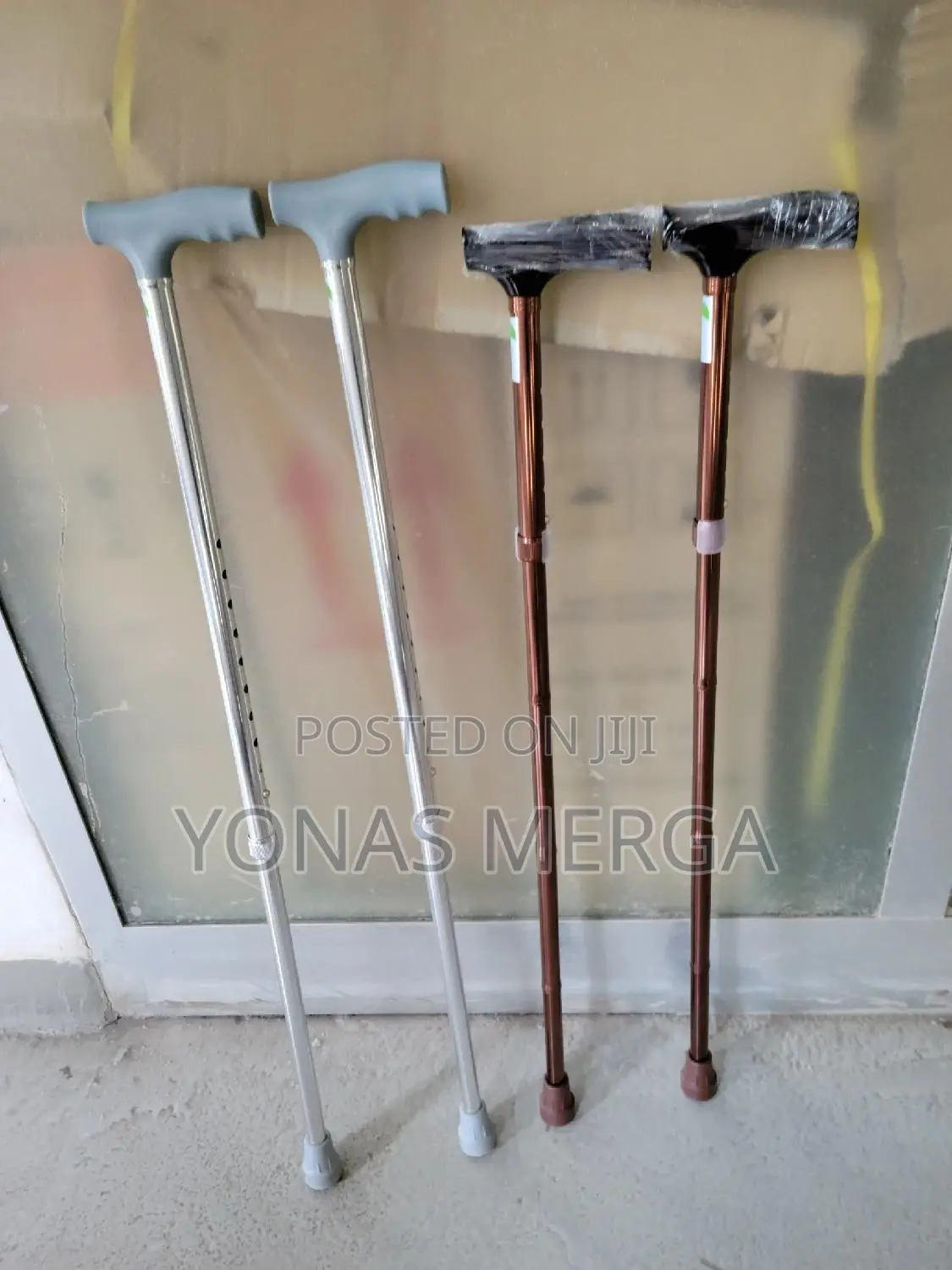 Walking Stick፲፲walking Stick፱walking Stick፯walking Stick፮