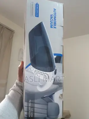 Automobile Vacuum For Wet And Dry