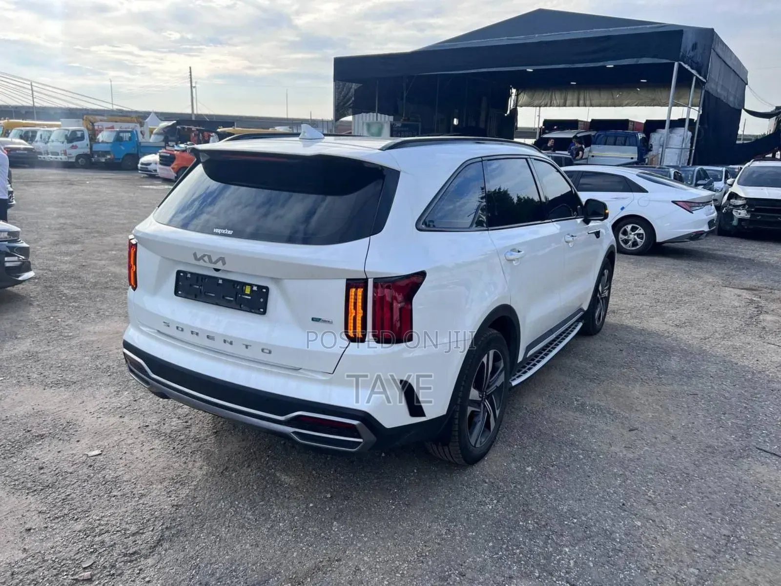 New Kia Sorento 2024 White