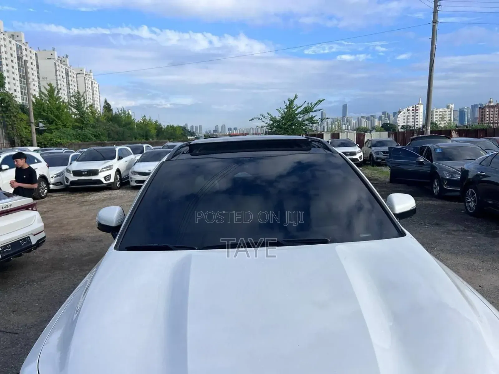 New Kia Sorento 2024 White