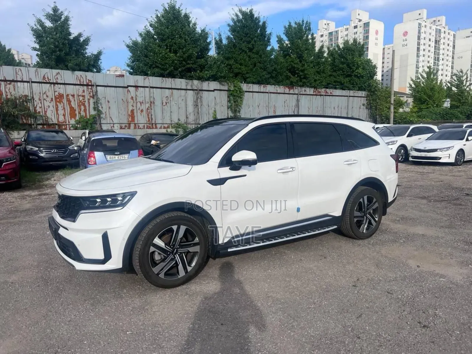 New Kia Sorento 2024 White