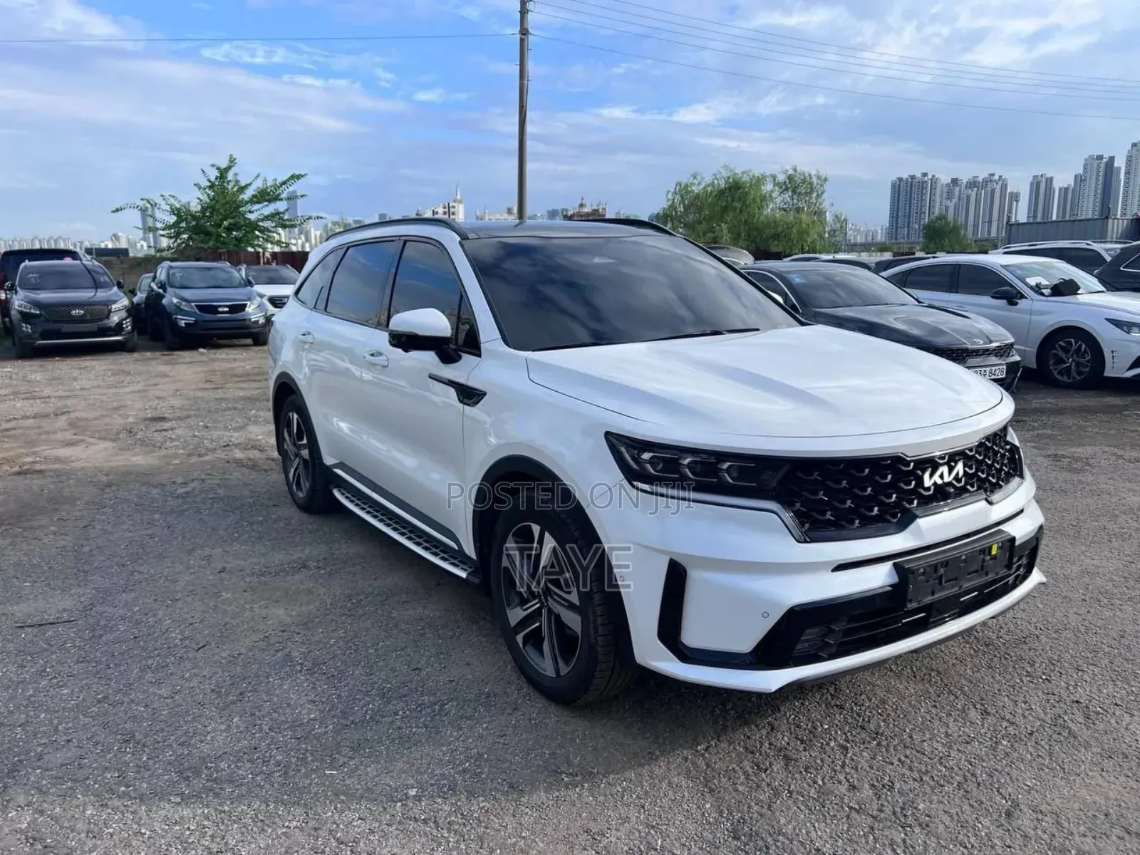 New Kia Sorento 2024 White