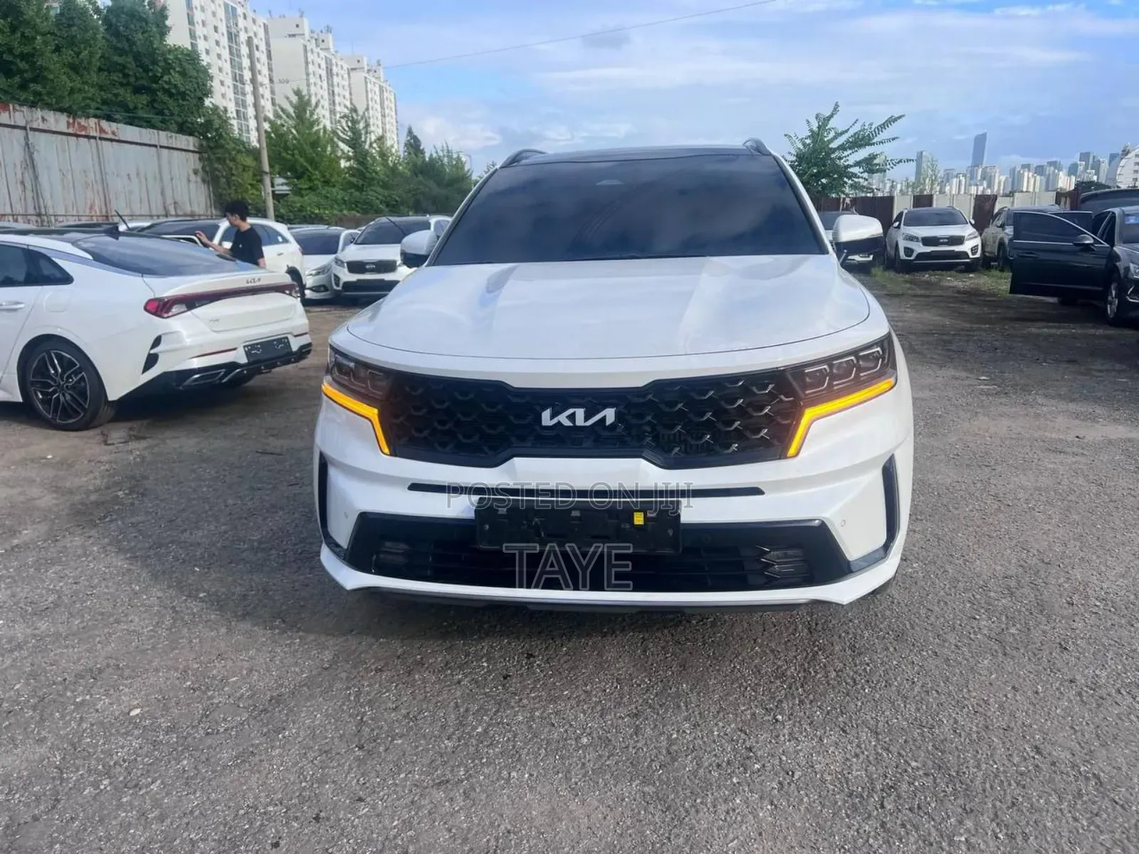 New Kia Sorento 2024 White
