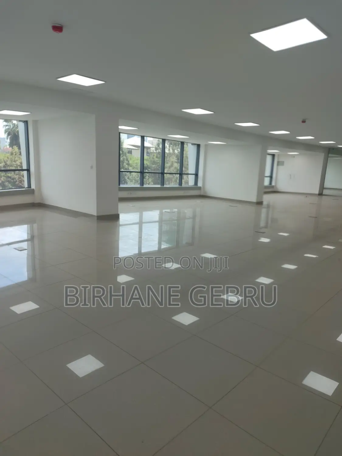 Luxury Apartiment for Office Rent