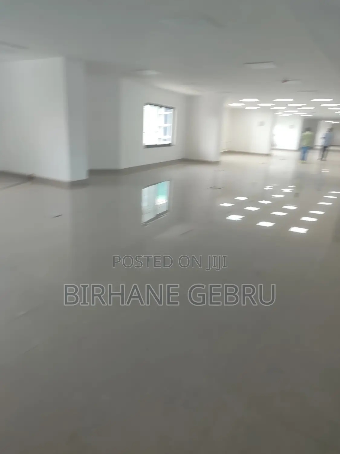 Luxury Apartiment for Office Rent