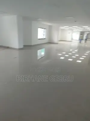 Luxury Apartiment for Office Rent