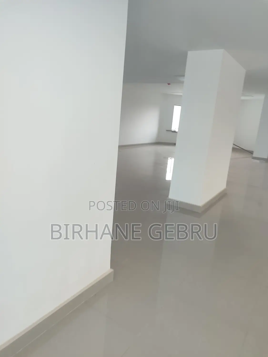 Luxury Apartiment for Office Rent