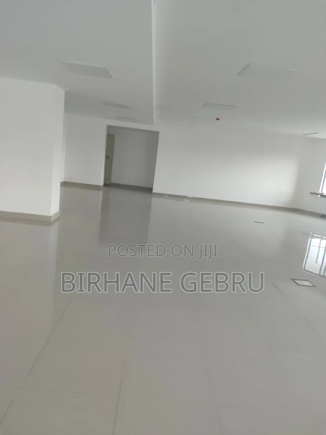 Luxury Apartiment for Office Rent