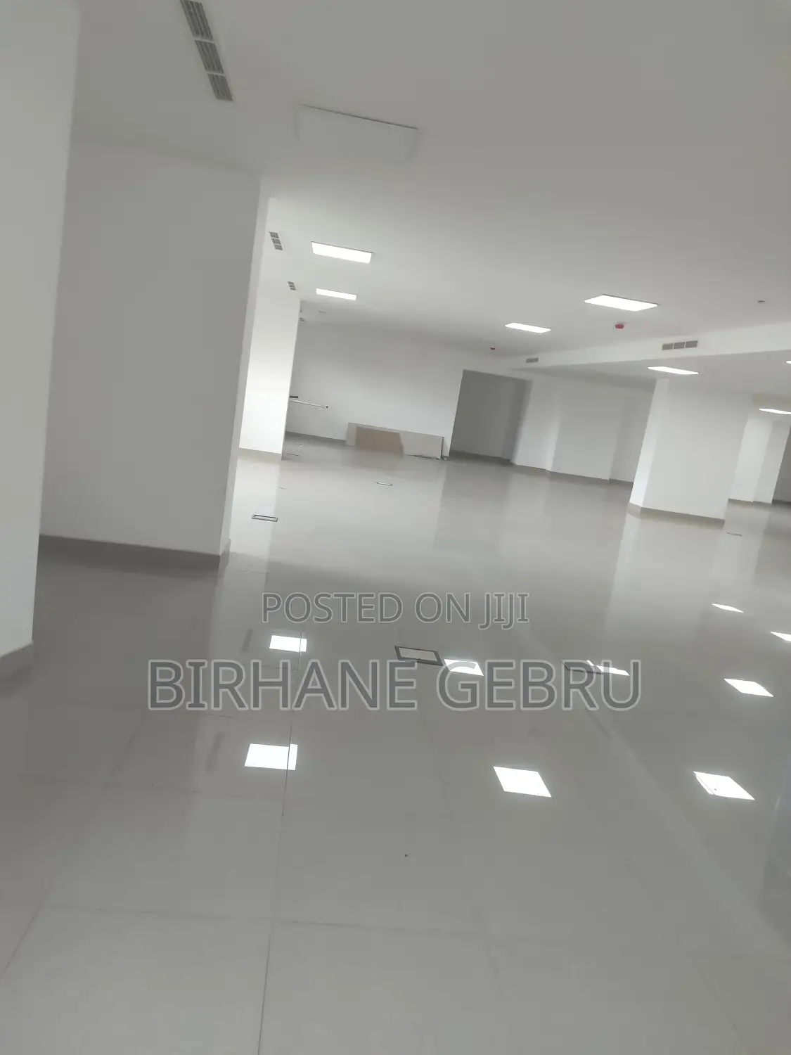 Luxury Apartiment for Business Rent