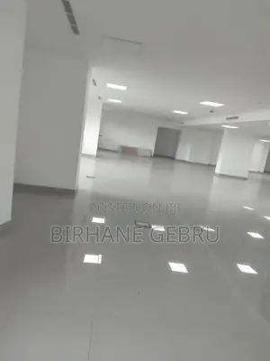 Luxury Apartiment for Business Rent