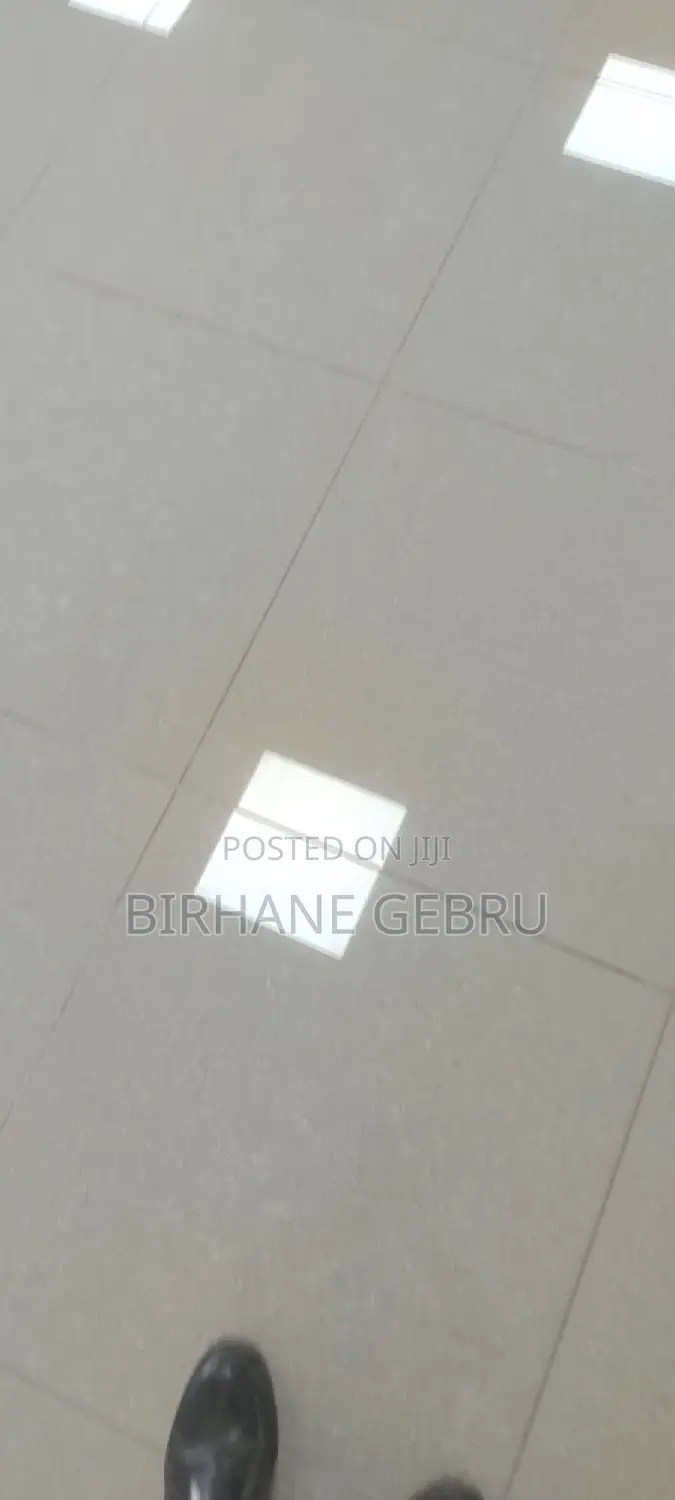 Luxury Apartiment for Business Rent