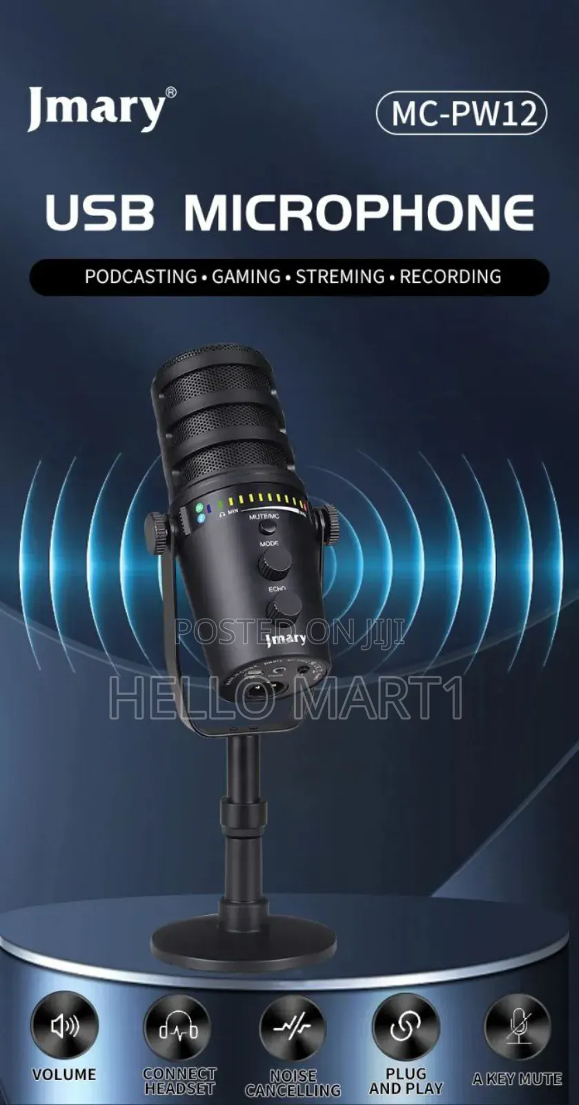 Jmary Pw-12 Microphone