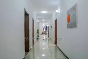 Furnished 1bdrm Apartment in Bole for rent