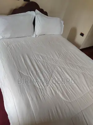 Studio Fernished Guest House Rent