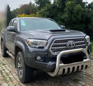 Toyota Tacoma 2016 Gray