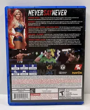 Wwe 2K19 Ps4 Ps5