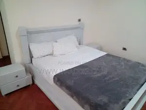 Furnished 1bdrm Apartment in Lideta for rent