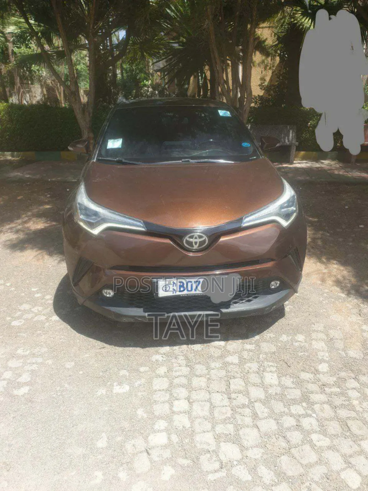 Toyota C-HR 2017 Brown