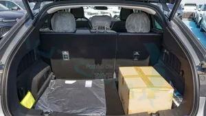 New Ford Mustang 2023 Silver