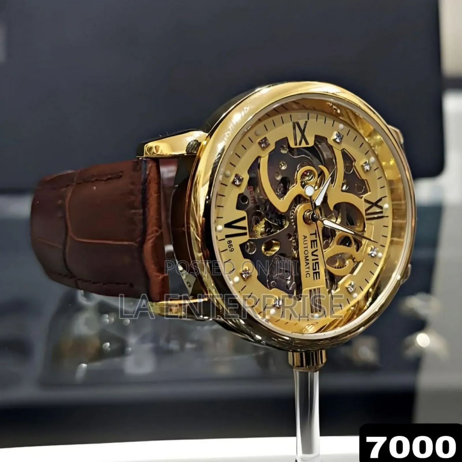 Tevise Luxury Men's Watch