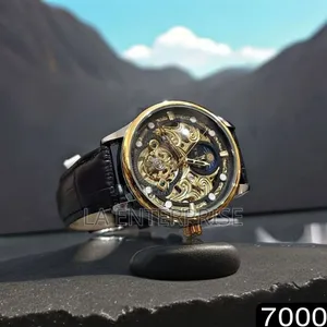 Tevise Luxury Men's Watch