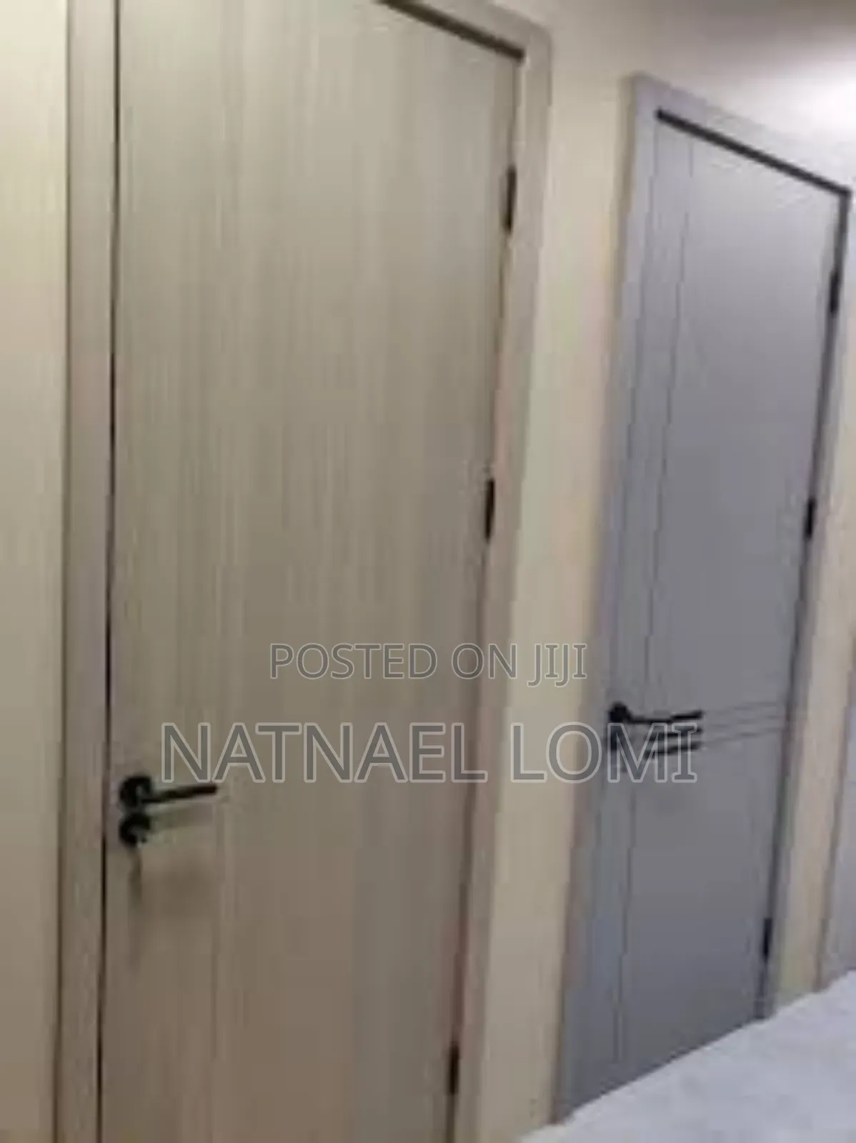 Carbon Fiber Glass Door