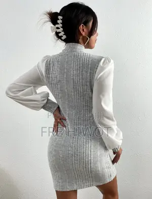 Photo - SHEIN Privé Bishop Sleeve Ribbed Stand Collar Dress