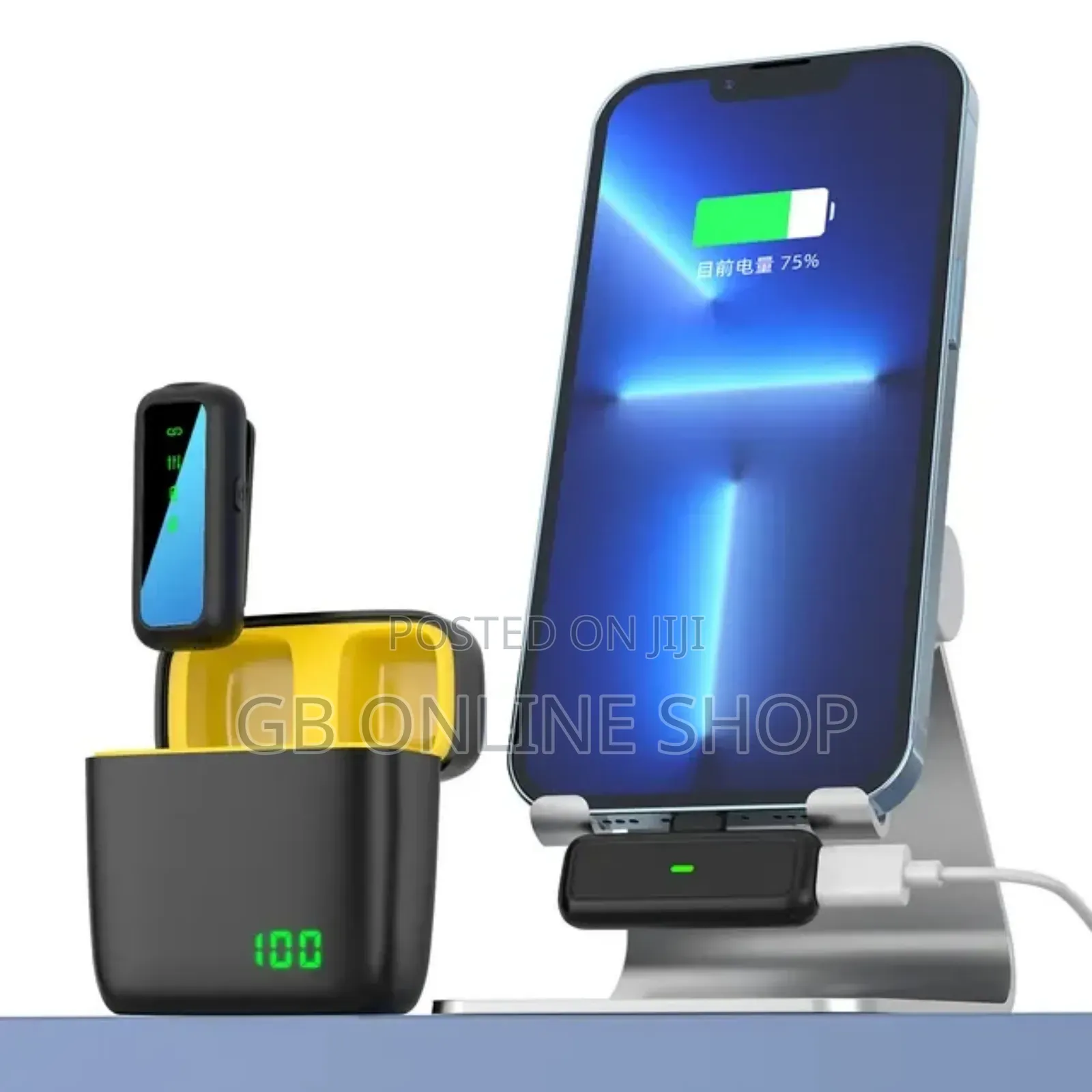 SX Dual Wireless Microphone for Type C