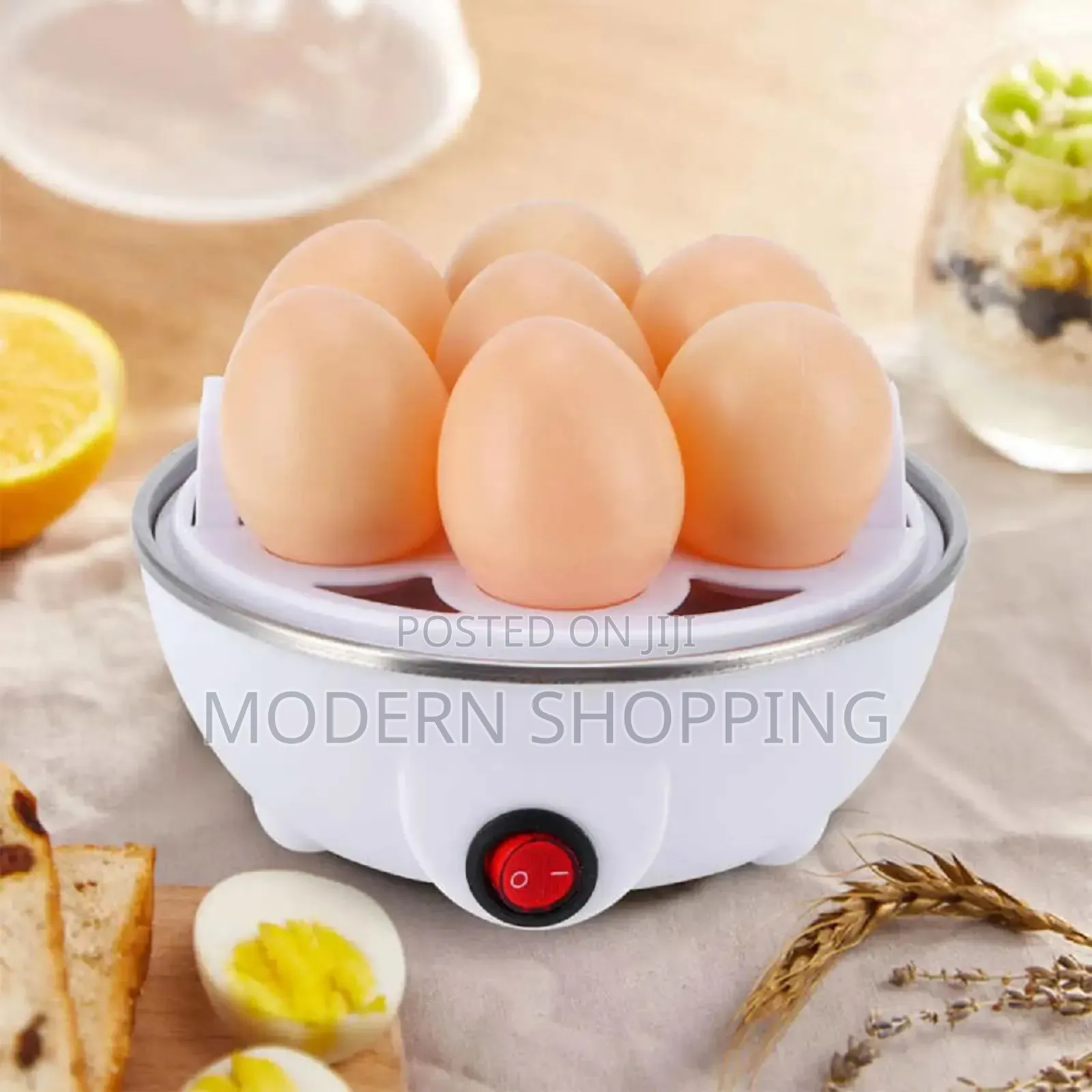 Electric Egg Boiler and Cooker