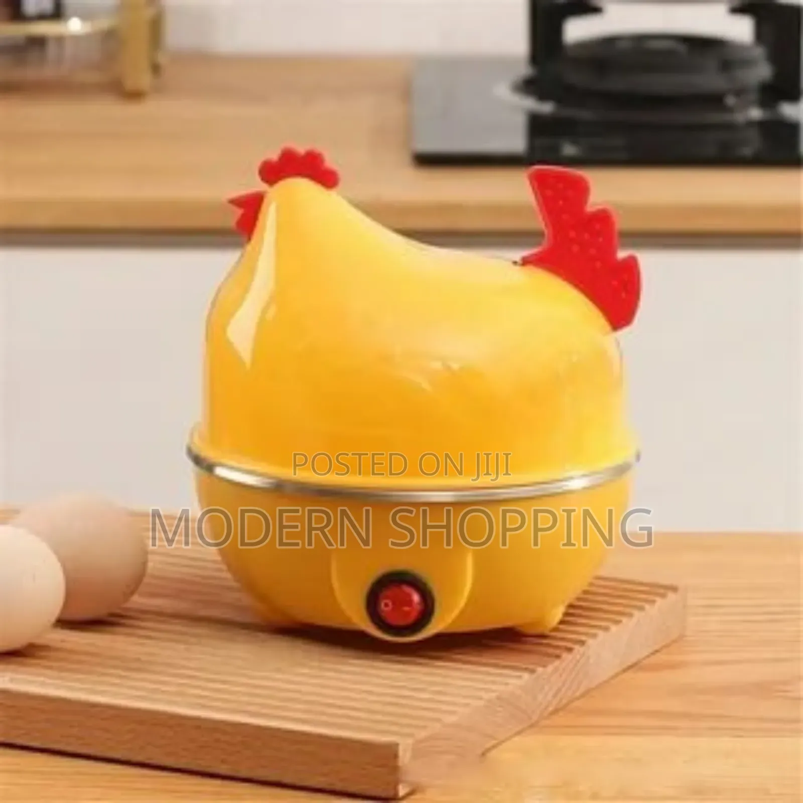 Electric Egg Boiler and Cooker