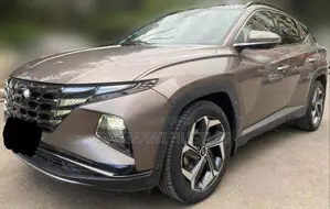 Photo - Hyundai Tucson 2022 Brown