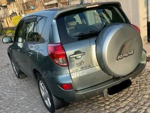 Toyota RAV4 2007 Gray