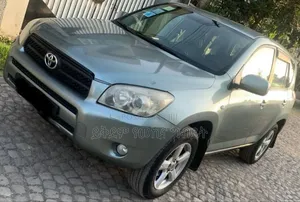 Toyota RAV4 2007 Gray