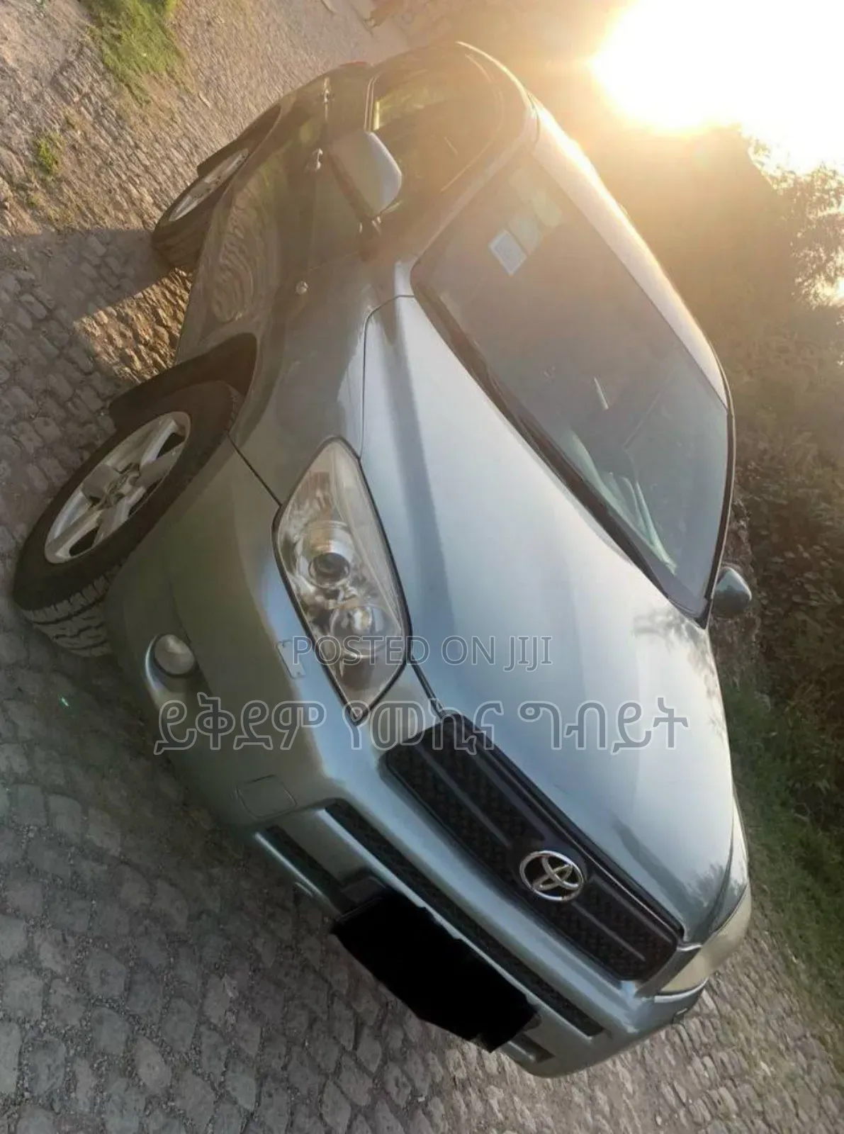 Toyota RAV4 2007 Gray