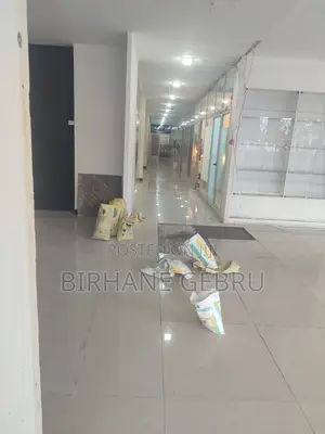 Luxury Apartiment for Business Rent