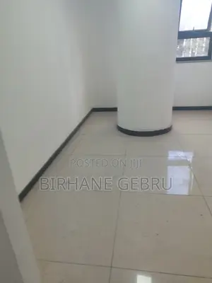 Luxury Apartiment for Business Rent