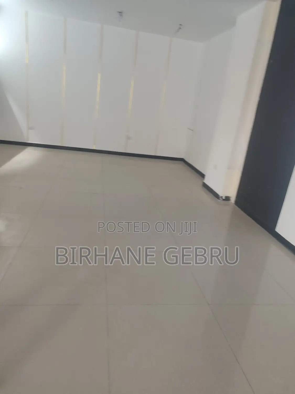 Luxury Apartiment for Business Rent