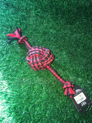 Photo - Ball for Dogs