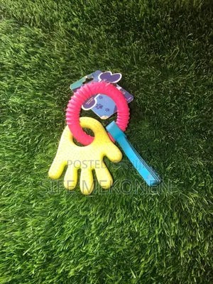 Photo - Toys for Dog