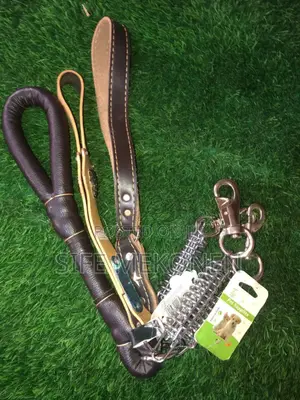 Photo - Big Dogs Leash