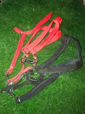 Photo - Medium Chest Belt